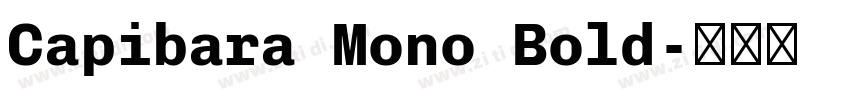 Capibara Mono Bold字体转换